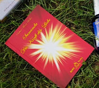 Buch Die Kraft der Liebe